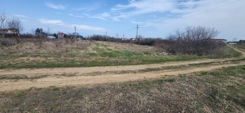 Teren pentru casa in Ciolpani